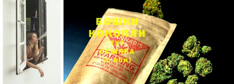 Шишки марихуана THC 21%  купить  цена  Спасск-Рязанский 